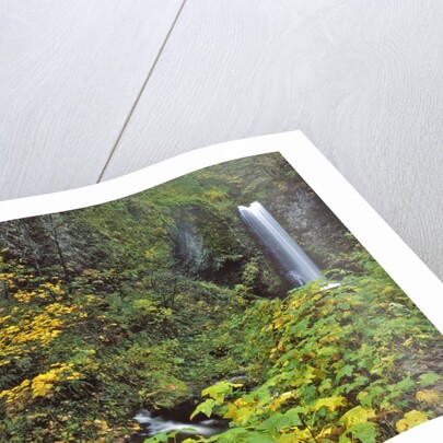 Upper Multnomah Falls by Anonymous