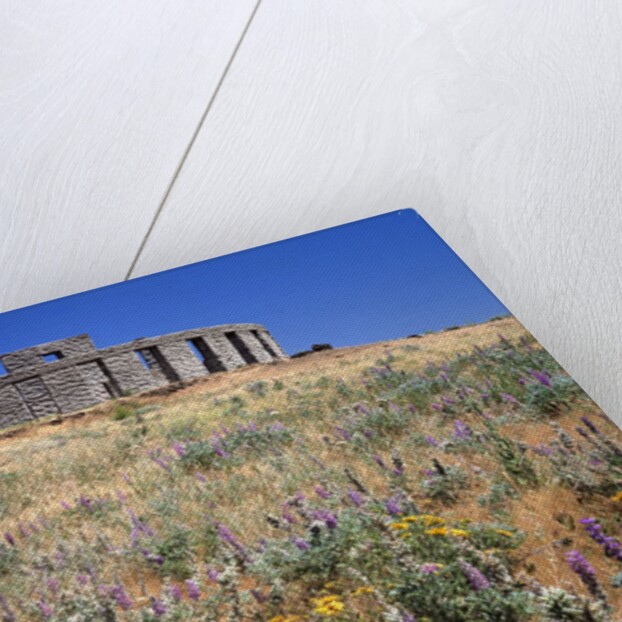 Stonehenge Memorial by Anonymous