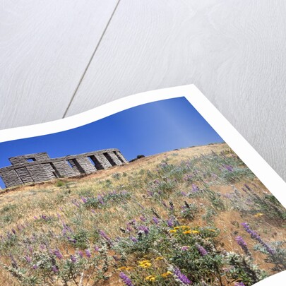 Stonehenge Memorial by Anonymous