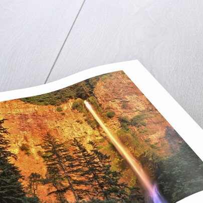 Evening light on Multnomah Falls by Anonymous