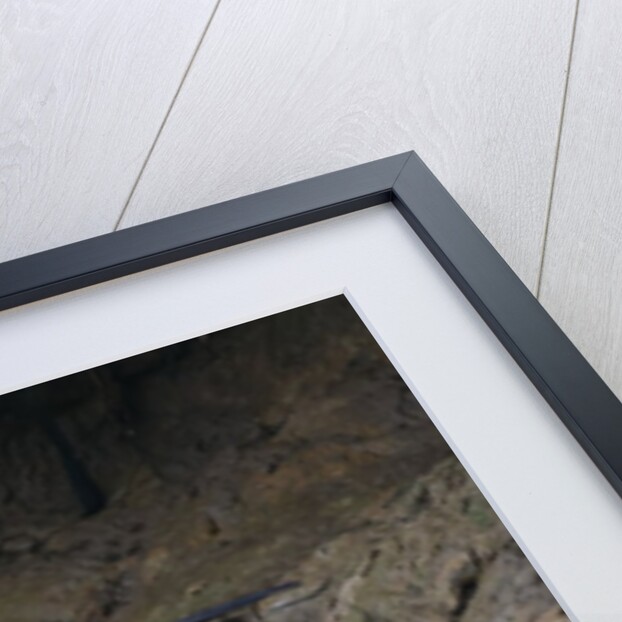 Hairy-nosed otter (Lutra sumatrana) by Anonymous