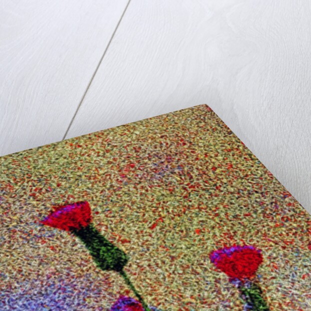 Little Flowers by Anonymous