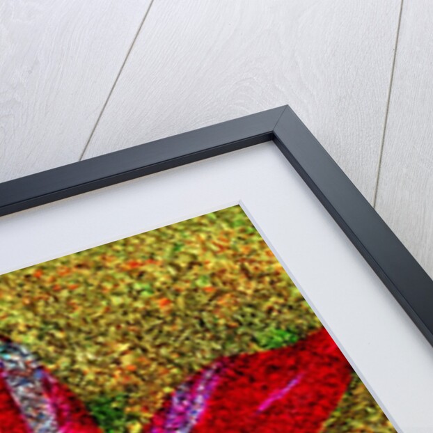 Red Flower by Anonymous