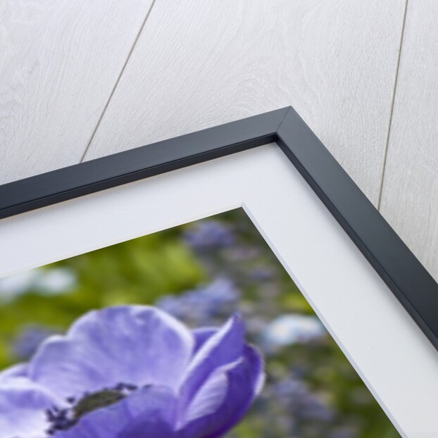 Longwood Garden Spring by Anonymous