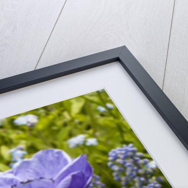 Longwood Garden Spring by Anonymous