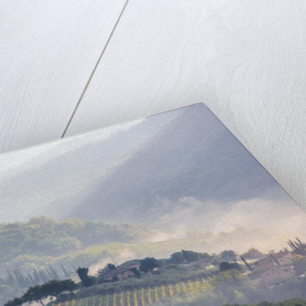 View from above of Tuscan villa and vineyard on a foggy morning by Anonymous