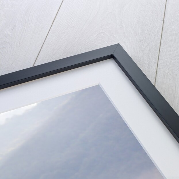View from above of Tuscan villa and vineyard on a foggy morning by Anonymous