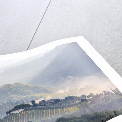 View from above of Tuscan villa and vineyard on a foggy morning by Anonymous
