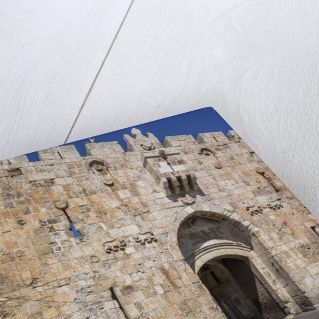 Old Town, the Lions' Gate (also known as St. Stephen's Gate) by Anonymous