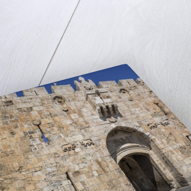 Old Town, the Lions' Gate (also known as St. Stephen's Gate) by Corbis