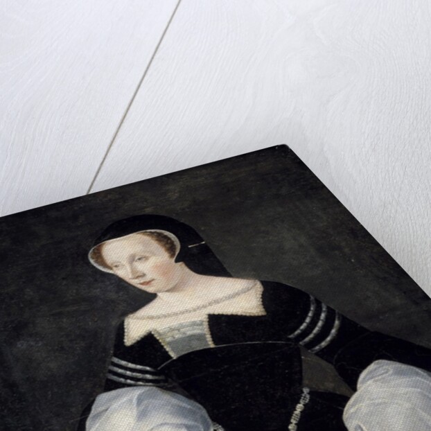 Portrait of Diane de Poitiers in mourning dress by Anonymous