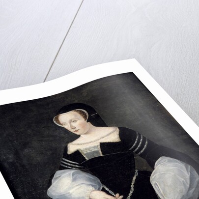Portrait of Diane de Poitiers in mourning dress by Anonymous