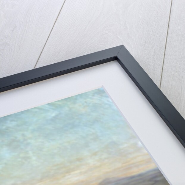 Portrait of Prince Eugene Louis Napoleon Bonaparte in Zululand by Olivier Pichat