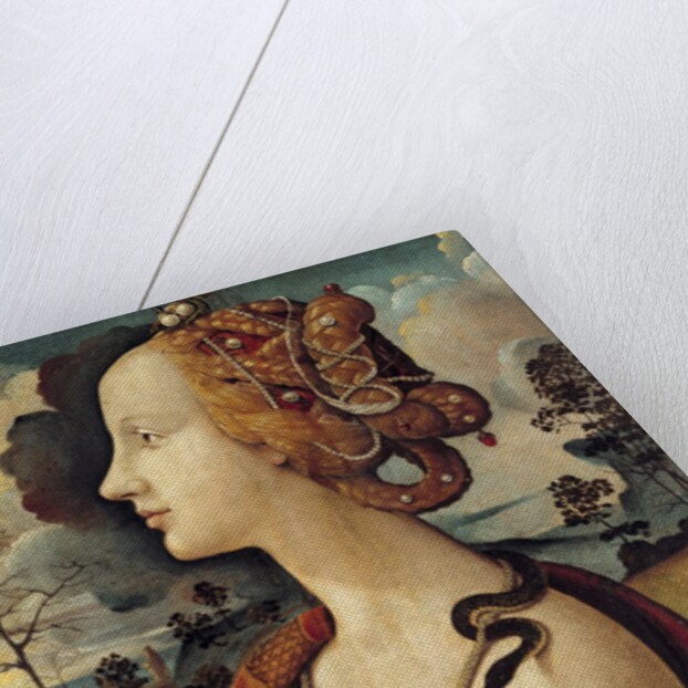 Portrait of a woman named Simonetta Vespucci - by Piero di Cosimo