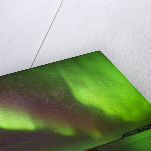 Aurora Borealis or Northern Lights, Iceland by Anonymous