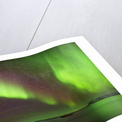 Aurora Borealis or Northern Lights, Iceland by Anonymous
