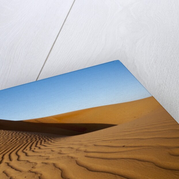 Sand dunes by Anonymous