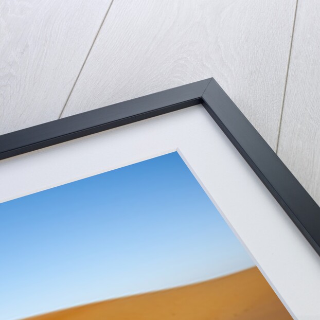 Sand dunes by Anonymous