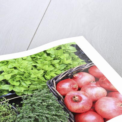 Campo de' Fiori everyday market. by Anonymous