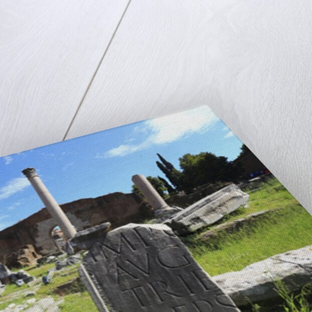 The roman forum. by Anonymous