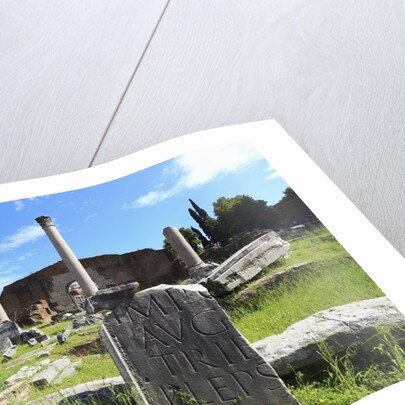 The roman forum. by Anonymous