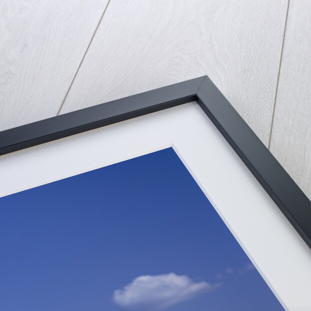 Himeji Castle, Hyogo, Honshu, Japan by Anonymous