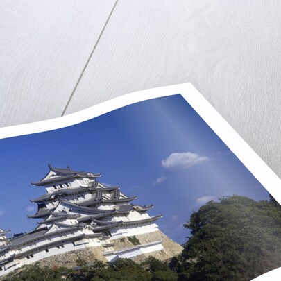 Himeji Castle, Hyogo, Honshu, Japan by Anonymous