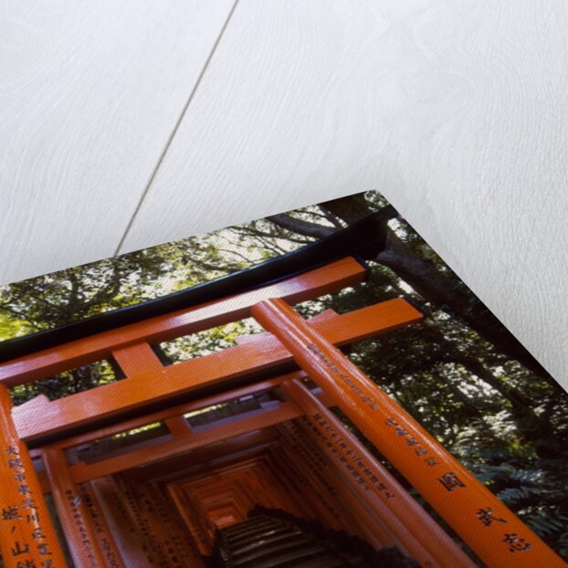 Torii, Fushimi Inari-taisha Shrine , Kyoto, Japan by Anonymous