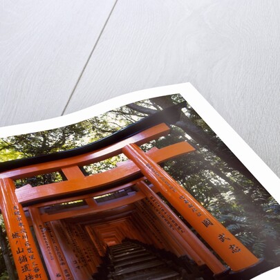 Torii, Fushimi Inari-taisha Shrine , Kyoto, Japan by Anonymous