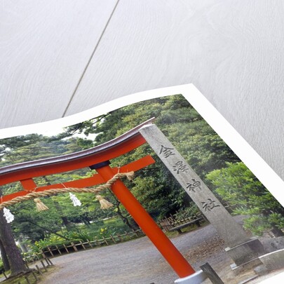 View of Torii Gate in Kenrokuen Garden, Kanazawa, Ishikawa Prefecture, Chubu Region, Honshu, Japan by Anonymous