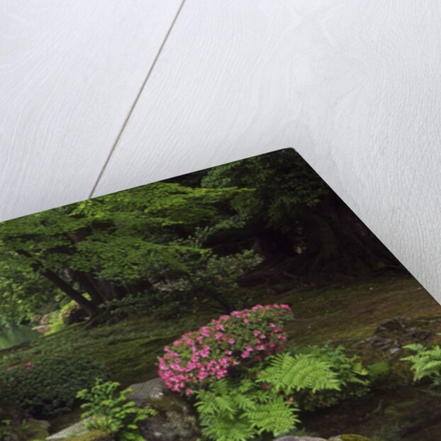 View of lamp in Kenrokuen Garden, Kanazawa, Ishikawa Prefecture, Chubu Region, Honshu, Japan by Anonymous