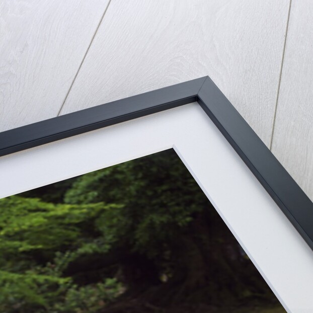 View of lamp in Kenrokuen Garden, Kanazawa, Ishikawa Prefecture, Chubu Region, Honshu, Japan by Anonymous