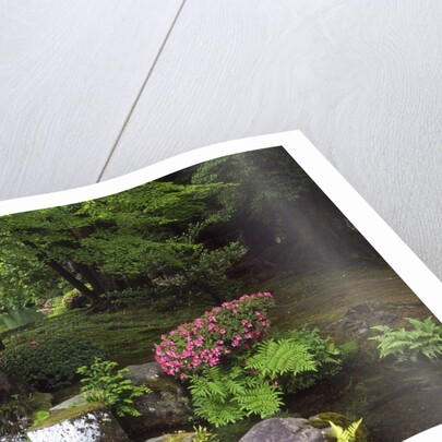 View of lamp in Kenrokuen Garden, Kanazawa, Ishikawa Prefecture, Chubu Region, Honshu, Japan by Anonymous