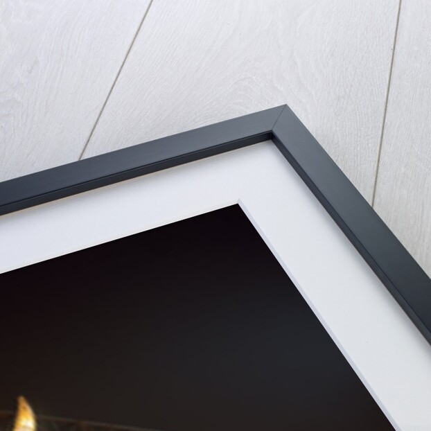 Illuminated Chinese Dragon on New Year's Eve, Hong Kong, China by Anonymous