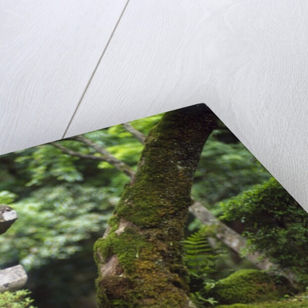 Lamp stand in Kenrokuen Garden, Kanazawa, Ishikawa Prefecture, Chubu Region, Honshu, Japan by Anonymous