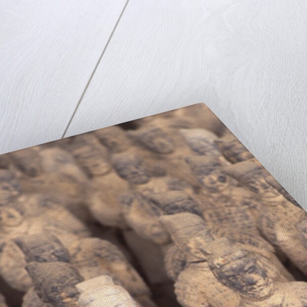 Miniature Terracota Warriors, Shenzen, Guangdong Province, China by Anonymous