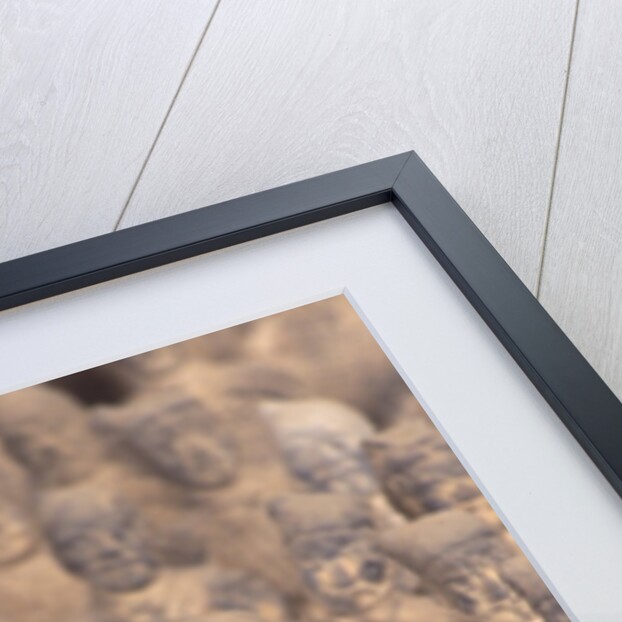 Miniature Terracota Warriors, Shenzen, Guangdong Province, China by Anonymous