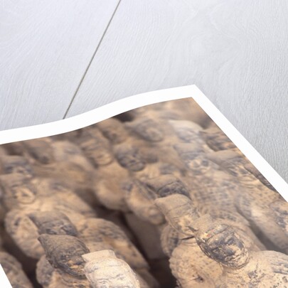 Miniature Terracota Warriors, Shenzen, Guangdong Province, China by Anonymous