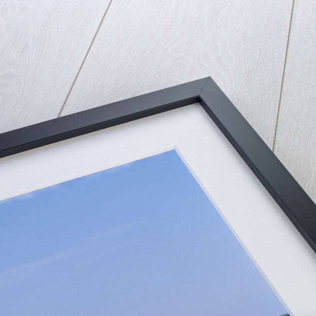 Chinese Junk, South China Sea, China by Anonymous