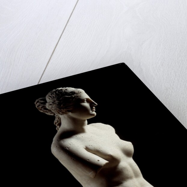 The Venus de Milo - Detail of a marble sculpture of Aphrodite by Anonymous