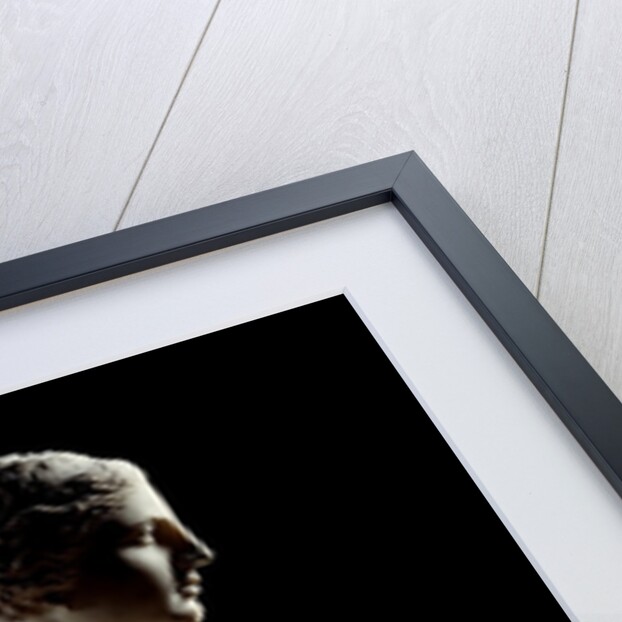 The Venus de Milo - Detail of a marble sculpture of Aphrodite by Anonymous