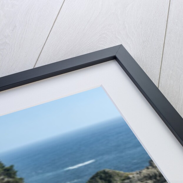 McWay Falls by Anonymous