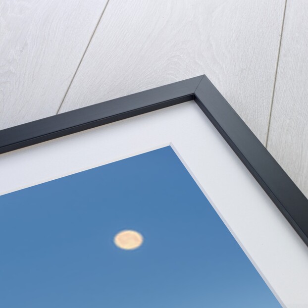 Full Moon Over the Central Coast by Anonymous