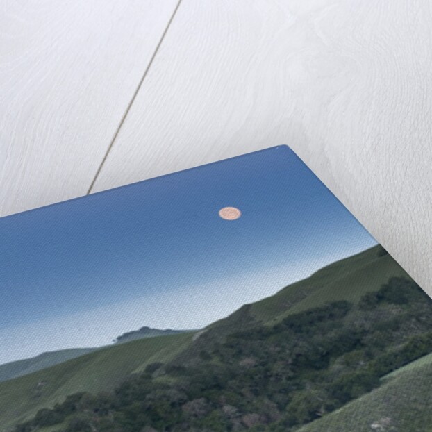 Full Moon Over the Central Coast by Anonymous