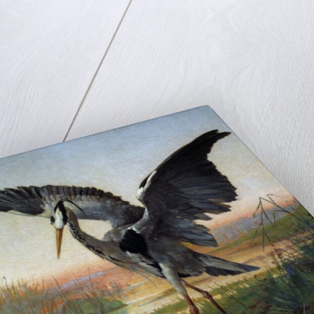 The Heron by Louis-Emile Villa