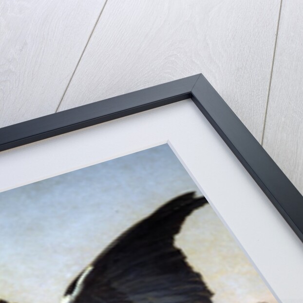 The Heron by Louis-Emile Villa