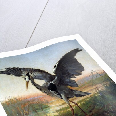 The Heron by Louis-Emile Villa