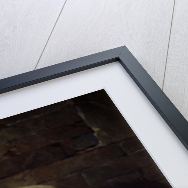 The Rat Who Retired from the World by Philippe Rousseau