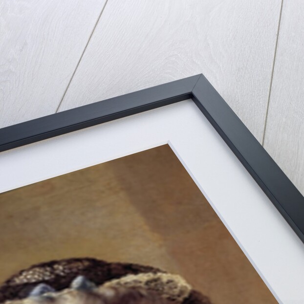 Portrait of Madame Drouais by Francois Hubert Drouais