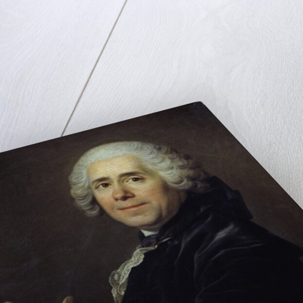 Portrait of Marivaux by Louis Michel van Loo